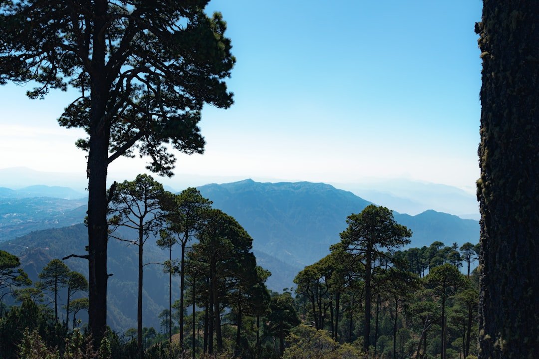 New Rainforest Trail Camping Costs Spark Debate Among Aussie Hikers