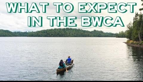 Uninvited Guest Disrupts Camping Trip, Testing Friendship Boundaries