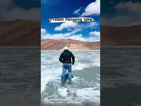 Delicate Ice Flowers of Ladakh: Nature’s Silent Artistry