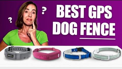 Top GPS Dog Collars: Precision Tracking for Outdoor Adventures