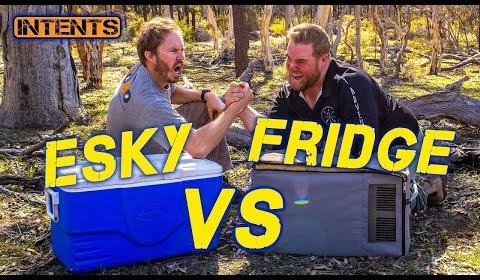 Best Eskies in Australia for Outdoor Adventures
